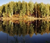 Panorama Panorama